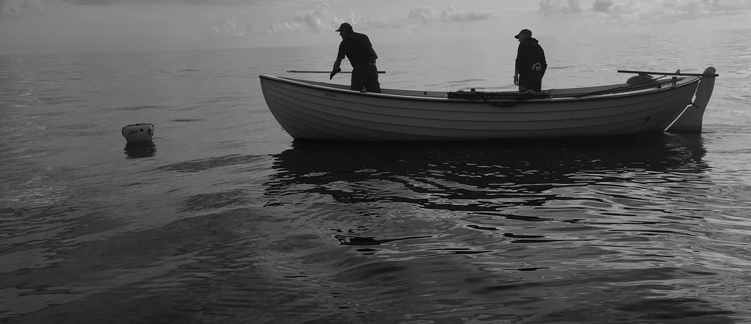 Case study – Green-Bay Project