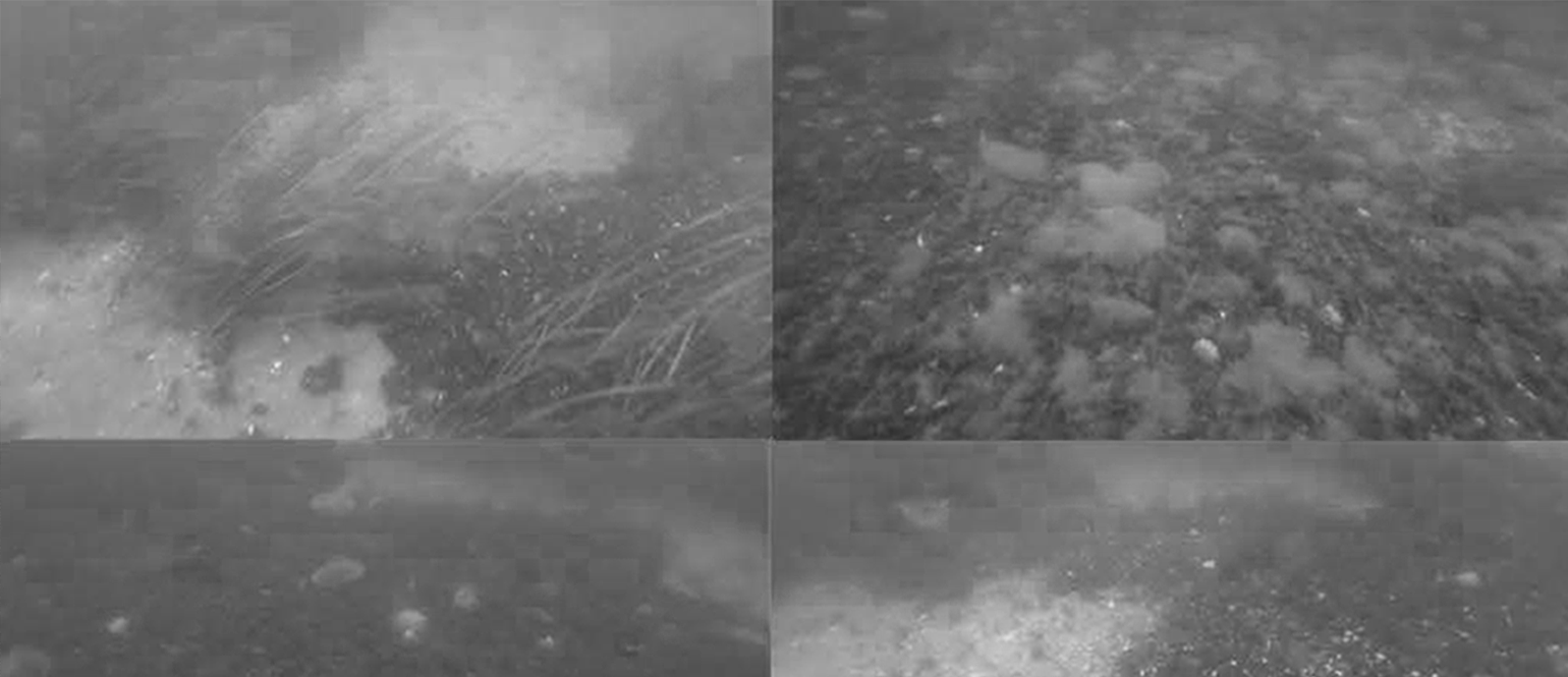 Case study – DTU Aqua