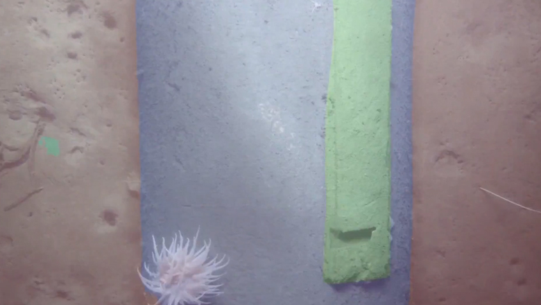 Pixel-by-pixel segmentation by NaviSuite Deep Learning