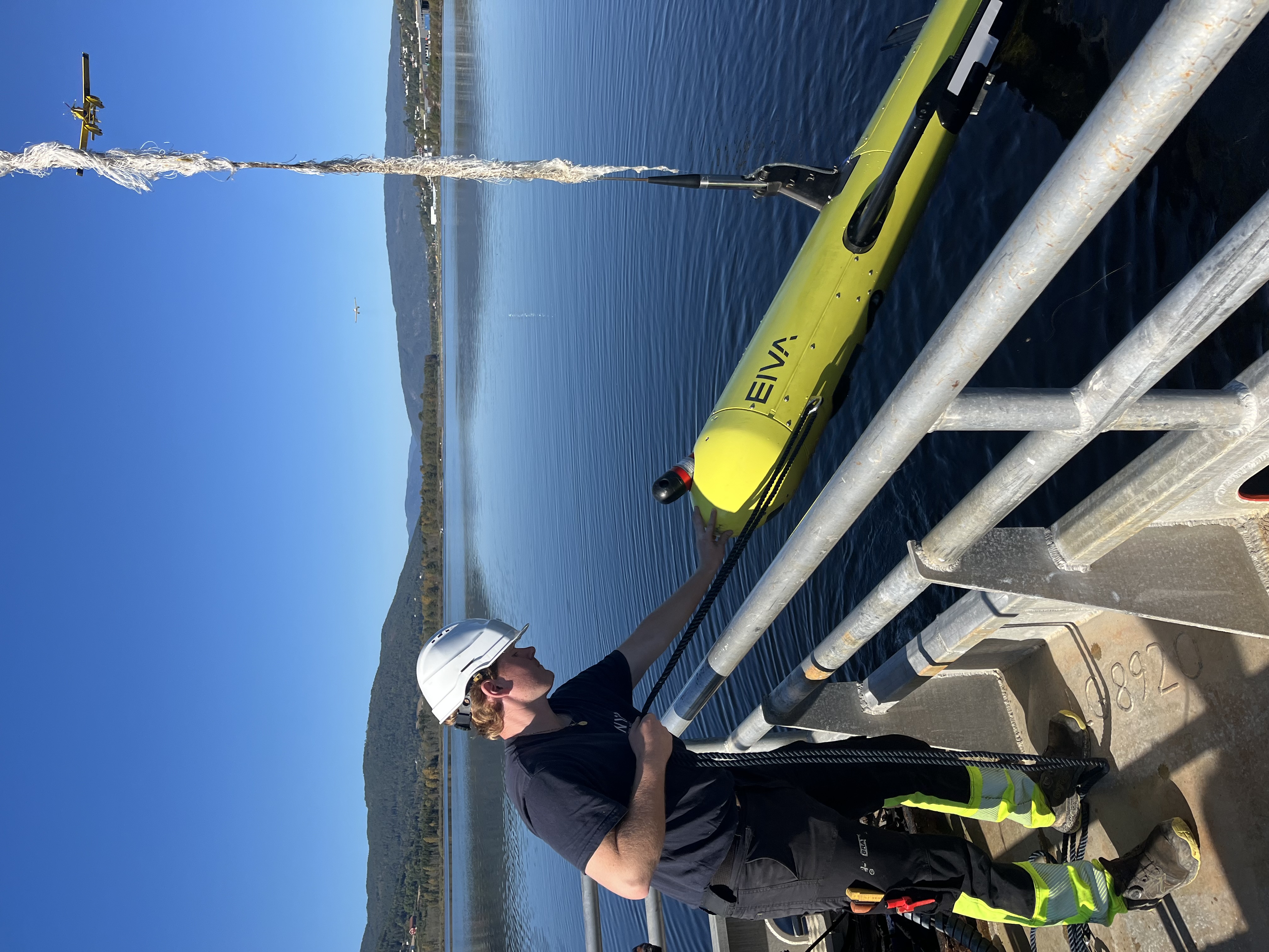 Deploying the ViperFish