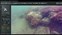 NaviSuite Mobula Pro + Processing (VideoRay) 