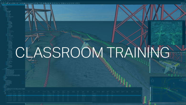 NaviSuite processing with pipe/cable inspection