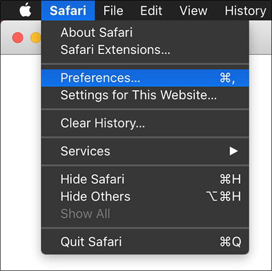 Enable Flash in Safari